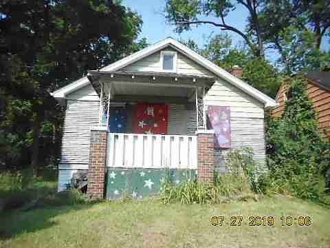 16737 Dolphin (1)_m.jpg